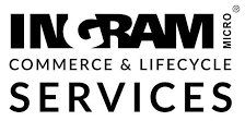 Read more about the article ingram